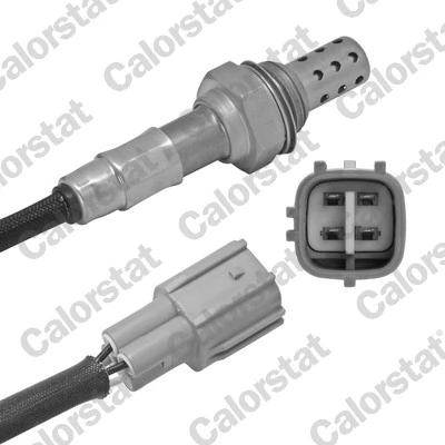 Oxygen Sensor